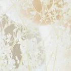 プライバシーポリシー